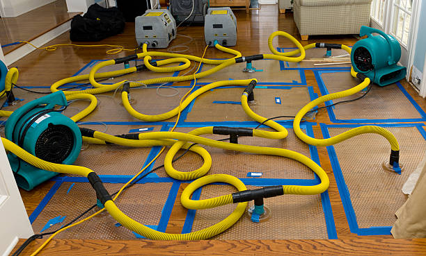 Professional Storm Water Damage Restoration technician working in Hillside, CO